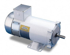 Leeson - 1/2 Max hp, 1,750 Max RPM, Electric AC DC Motor - 115 V Input, ZS56C Frame - Makers Industrial Supply