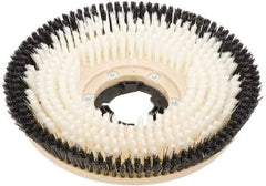 Clarke - 17" Diam Carpet Brush - 17" Machine, Black Pad, Nylon - Makers Industrial Supply