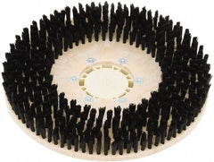 Clarke - 34" Diam Scrubbing Brush - 17" Machine, Black Pad, Nylon - Makers Industrial Supply