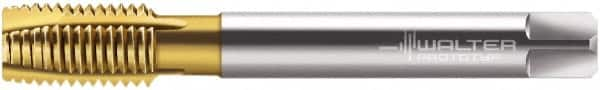 Walter-Prototyp - M22x1.50 Metric Fine, 4 Flute, TiN Finish, Cobalt Spiral Point Tap - Plug Chamfer, Right Hand Thread, 125mm OAL, 24mm Thread Length, 18mm Shank Diam, 6H Class of Fit, Series P2136005 - Exact Industrial Supply