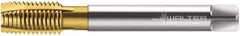 Walter-Prototyp - 1/2-14" BSPP, 4 Flutes, Plug Chamfer, TiN Coated, Cobalt British Standard Pipe Tap - 0.6299" Shank Diam, 0.4724" Square Size, Series M2426305 - Exact Industrial Supply