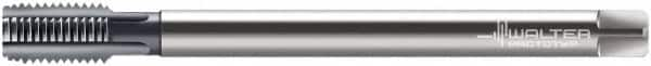 Walter-Prototyp - M12x1.75 Metric 4 Flute TiCN Finish Powdered Metal Hand Extension Tap - Modified Bottoming Chamfer, 8.6614" OAL, 6HX Class of Fit, Series E2036436 - Exact Industrial Supply