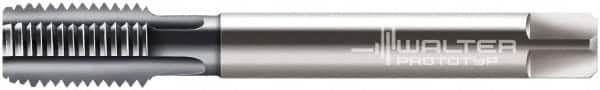 Walter-Prototyp - M14x2.00 Metric 6HX 4 Flute TiCN Finish Powdered Metal Straight Flute Machine Tap - Modified Bottoming, Right Hand Thread, 110mm OAL, 25mm Thread Length, Oversize - Makers Industrial Supply