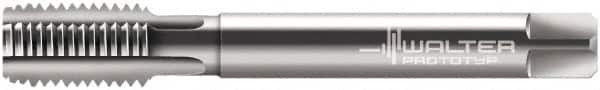 Walter-Prototyp - 3/4-14 NPT Thread, 5 Flute Standard Pipe Tap - 140.01mm OAL, 26mm Thread Length, 29/32" Shank Diam, Bright Finish, Cobalt - Exact Industrial Supply