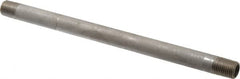 Merit Brass - Schedule 40, 1/4" Pipe x 8" Long, Grade 304/304L Stainless Steel Pipe Nipple - Welded & Threaded - Makers Industrial Supply