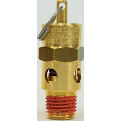 Control Devices - 1/4" Inlet, ASME Safety Valve - Makers Industrial Supply