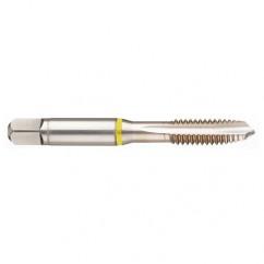 M20x2.5 6H 4-Flute Cobalt Yellow Ring Spiral Point Plug Tap-Bright - Makers Industrial Supply