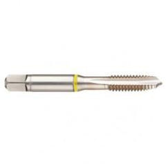 42377 2B 4-Flute Cobalt Yellow Ring Spiral Point Plug Tap-Bright - Makers Industrial Supply