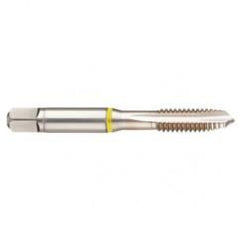 40241 2B 4-Flute Cobalt Yellow Ring Spiral Point Plug Tap-Bright - Makers Industrial Supply