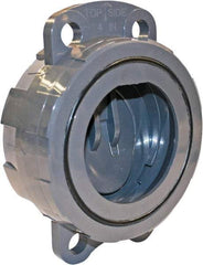 Hayward - 2-1/2" PVC Check Valve - Wafer Check Valve, Wafer, 150 WOG - Makers Industrial Supply