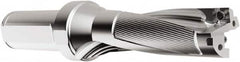 Seco - 125mm Max Drill Depth, 3xD, 41.5mm Diam, Indexable Insert Drill - 2 Inserts, 40mm Shank Diam, Straight Shank - Makers Industrial Supply