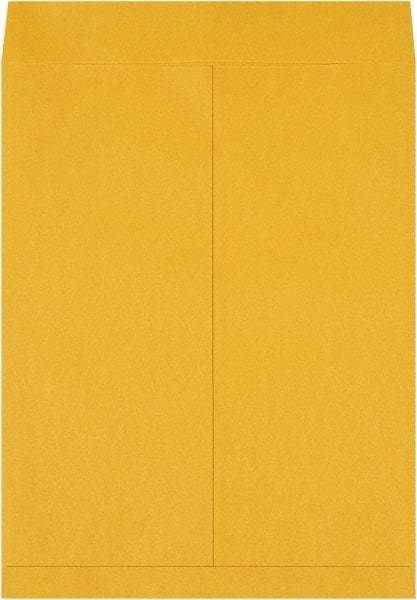 Made in USA - 22" Long x 17" Wide Regular Jumbo Envelope - Kraft - Makers Industrial Supply