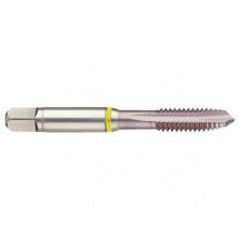 43359 2B 3-Flute Cobalt Yellow Ring Spiral Point Plug Tap-MolyGlide - Makers Industrial Supply