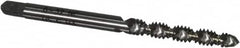 Cleveland - #6-32 UNC 2 Flute 2B Plug Spiral Flute Tap - High Speed Steel, Bright Finish, 50.8mm OAL, Right Hand Flute, Right Hand Thread, H3, Series 1093/1094 - Makers Industrial Supply