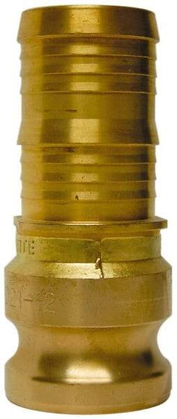 EVER-TITE Coupling Products - 2-1/2" Brass Cam & Groove Suction & Discharge Hose Male Adapter Hose Shank - Part E, 250 Max psi - Makers Industrial Supply