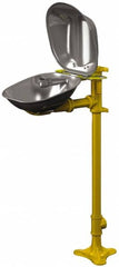 Bradley - Pedestal Mount, Stainless Steel Bowl, Eyewash Station - Makers Industrial Supply