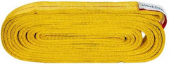 Value Collection - 16' Long x 2" Wide, 12,200 Lb Vertical Capacity, 2 Ply, Polyester Web Sling - 9,800 Lb Choker Capacity, with Endless Sling - Makers Industrial Supply