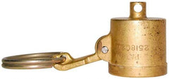 EVER-TITE Coupling Products - 3" Brass Cam & Groove Suction & Discharge Hose Dust Cap For Use with Adapters - Part DC, 250 Max psi - Makers Industrial Supply