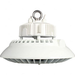 Eiko Global - 1 Lamp, 100 Watts, LED, High Bay Fixture - 11.81" Wide, 120-277 Volt, Steel Housing - Makers Industrial Supply