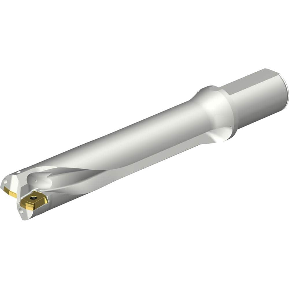 Indexable Insert Drills; Drill Style: DS20; Drill Diameter (mm): 41.00; Maximum Drill Depth (mm): 206.28; Shank Type: Straight-Cylindrical; Shank Diameter (mm): 40.00; Cutting Direction: Right Hand; Maximum Drill Depth Range (mm): 200.00+; Tool Material: