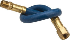 Coilhose Pneumatics - 1/4" ID 1' Long Lead-In Whip Hose - FNPT x MNPT Swivel Ends, 200 Working psi, -40 to 212°F, 1/4" Fitting, - Makers Industrial Supply