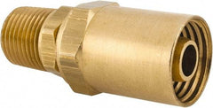 Dixon Valve & Coupling - 1/2 NPTF, Reusable Hose Male Fitting - 1/2" Hose ID x 15/16" Hose OD - Makers Industrial Supply