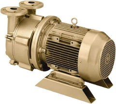 DEKKER Vacuum Technologies - 29 Hg Max, 2-1/2" ANSI 150# RF Flanged Inlet & Discharge, Single Stage Liquid Ring Vaccum Pump - 150 CFM, 10 hp, Cast Iron Housing, 316 Stainless Steel Impeller, 1,750 RPM, 230/460 Volts - Makers Industrial Supply