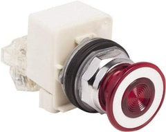 Schneider Electric - 30mm Mount Hole, Extended Straight, Pushbutton Switch with Contact Block - Red Pushbutton, Maintained (MA) - Makers Industrial Supply