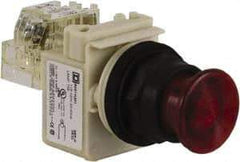 Schneider Electric - 30mm Mount Hole, Extended Straight, Pushbutton Switch with Contact Block - Red Pushbutton, Momentary (MO) - Makers Industrial Supply