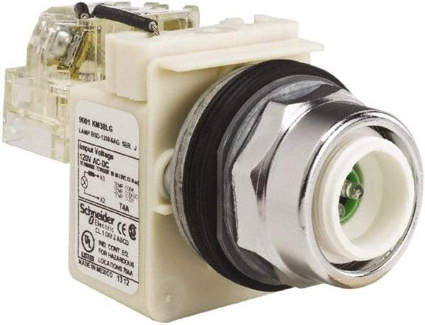 Schneider Electric - 120 VAC LED Indicating Light - Screw Clamp Connector - Makers Industrial Supply