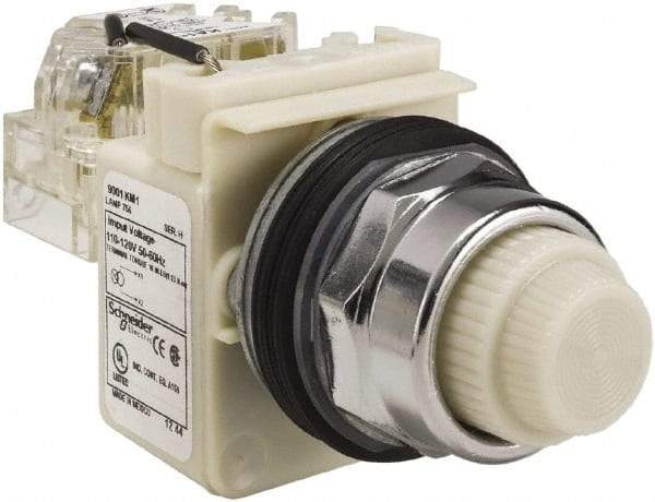 Schneider Electric - 120 VAC White Lens Indicating Light - Screw Clamp Connector - Makers Industrial Supply