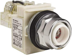 Schneider Electric - 120 VAC LED Indicating Light - Screw Clamp Connector - Makers Industrial Supply