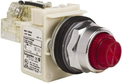 Schneider Electric - 120 VAC Red Lens Indicating Light - Screw Clamp Connector - Makers Industrial Supply