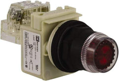 Schneider Electric - 30mm Mount Hole, Extended Straight, Pushbutton Switch with Contact Block - Red Pushbutton, Momentary (MO) - Makers Industrial Supply