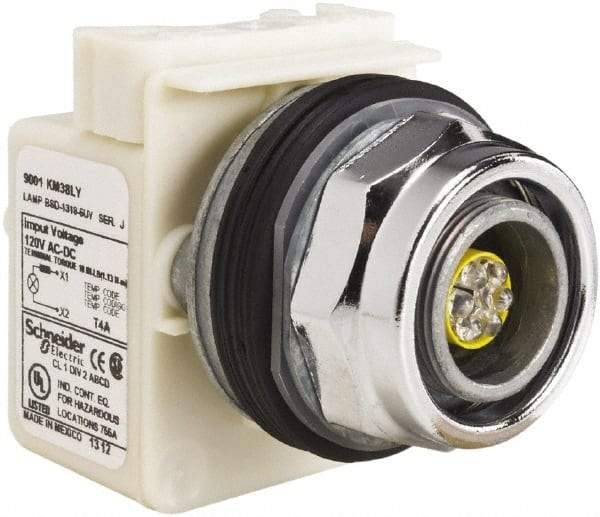 Schneider Electric - 120 V LED Indicating Light - Screw Clamp Connector - Makers Industrial Supply