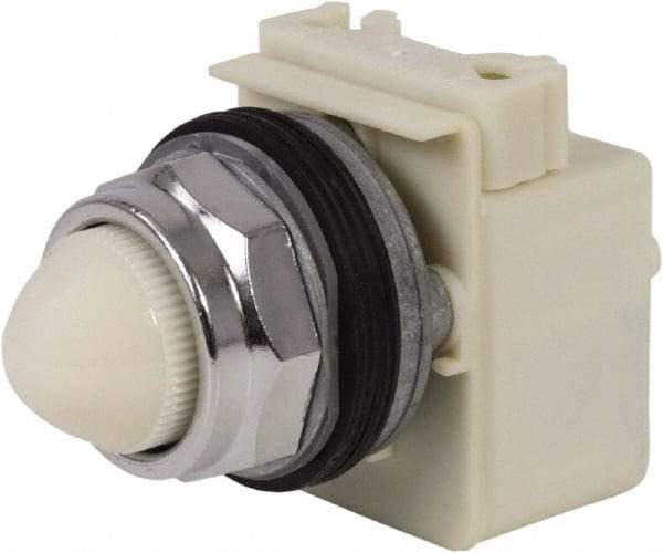 Schneider Electric - 120 VAC White Lens Indicating Light - Screw Clamp Connector - Makers Industrial Supply