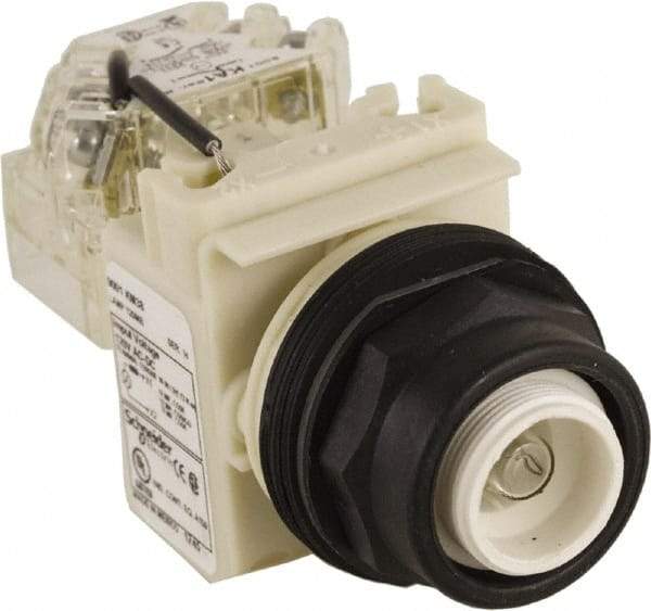 Schneider Electric - 120 V Press-to-Test Indicating Light - Round Lens, Screw Clamp Connector, Corrosion Resistant, Dust Resistant, Oil Resistant - Makers Industrial Supply