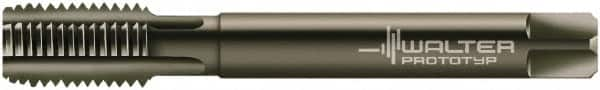 Walter-Prototyp - M24x3.00 Metric 6HX 5 Flute Nitride/Oxide Finish Powdered Metal Straight Flute Machine Tap - Modified Bottoming, Right Hand Thread, 160mm OAL, 36mm Thread Length, Oversize - Exact Industrial Supply