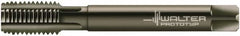 Walter-Prototyp - M22x2.50 Metric 6HX 4 Flute Nitride/Oxide Finish Powdered Metal Straight Flute Machine Tap - Modified Bottoming, Right Hand Thread, 140mm OAL, 30mm Thread Length, Oversize - Exact Industrial Supply