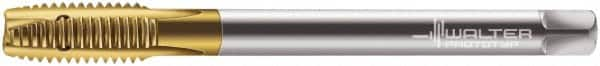 Walter-Prototyp - M12x1.75 Metric, 3 Flute, TiN Finish, Powdered Metal Spiral Point Tap - Plug Chamfer, Right Hand Thread, 110mm OAL, 23mm Thread Length, 9mm Shank Diam, 6H Class of Fit, Series 7026345 - Exact Industrial Supply