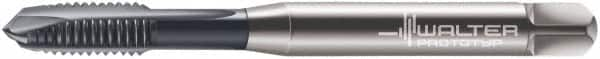 Walter-Prototyp - M5x0.80 Metric, 3 Flute, TiCN Finish, Powdered Metal Spiral Point Tap - Plug Chamfer, Right Hand Thread, 70mm OAL, 13mm Thread Length, 6mm Shank Diam, 6H Class of Fit, Series 7021366 - Exact Industrial Supply