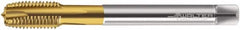 Walter-Prototyp - M20x1.50 Metric Fine, 4 Flute, TiN Finish, Powdered Metal Spiral Point Tap - Plug Chamfer, Right Hand Thread, 125mm OAL, 24mm Thread Length, 16mm Shank Diam, 6H Class of Fit, Series 7126365 - Exact Industrial Supply