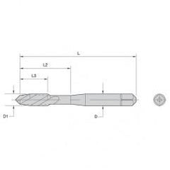 16053 M3-0.5 HS G D3 2F PLUG FAST - Makers Industrial Supply