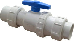 Little Giant Pumps - 2" PVC Check Valve - Inline, Union - Makers Industrial Supply