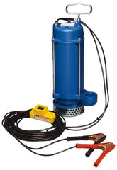 Warren Rupp - 1/3 hp, 12 VDC Amp Rating, 12 VDC Volts, Nonautomatic Operation, Dewatering Pump - Aluminum Housing - Makers Industrial Supply