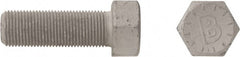 Bowmalloy - 7/16-20, 3/4" Long Hex Head Cap Screw - Makers Industrial Supply