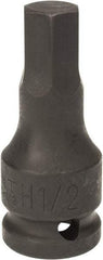 Paramount - 1/2" Drive, 1/2" Impact Hex Bit Socket - 1-3/8" Bit Length, 2-5/16" OAL - Makers Industrial Supply