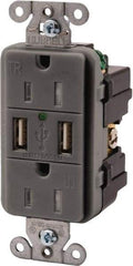 Hubbell Wiring Device-Kellems - 2 USB Port, 2 Receptacle, 125 VAC, 5 VDC USB Receptacle - 5-15R NEMA Configuration, 15 Amp, Gray, 3.8 Amp Charging Power, LED Indicator Light - Makers Industrial Supply