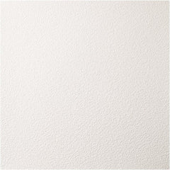 Genesis - Pack of 12 Stucco Pro 23-3/4" x 23-3/4" x 0.197" Vinyl Ceiling Tiles - Makers Industrial Supply