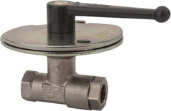 Legris - 1/4" Pipe, Female Port, Nickel Plated Brass Standard Ball Valve - Inline - One Way Flow, FBSPP x FBSPP Ends, Lever Handle, 580 WOG - Makers Industrial Supply